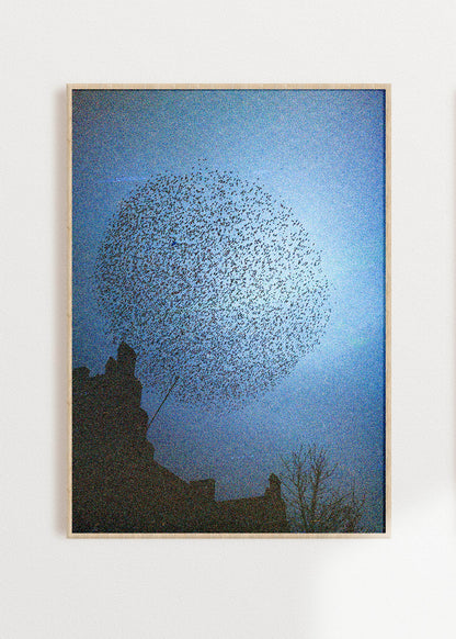 Gerahmter Kunstdruck "Murmuration"