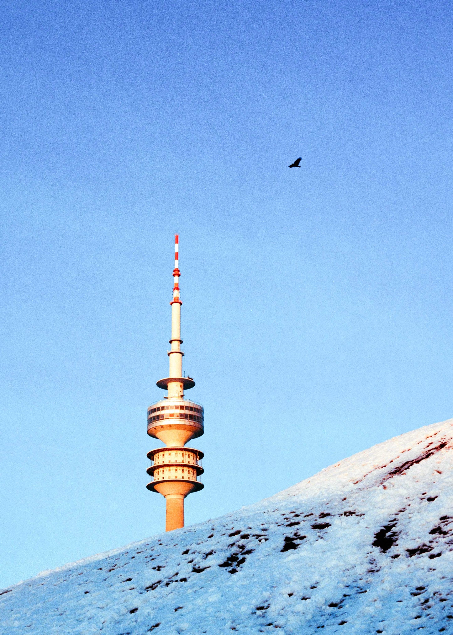 Gerahmter Kunstdruck "Olympiaturm, Vogel, Schnee"