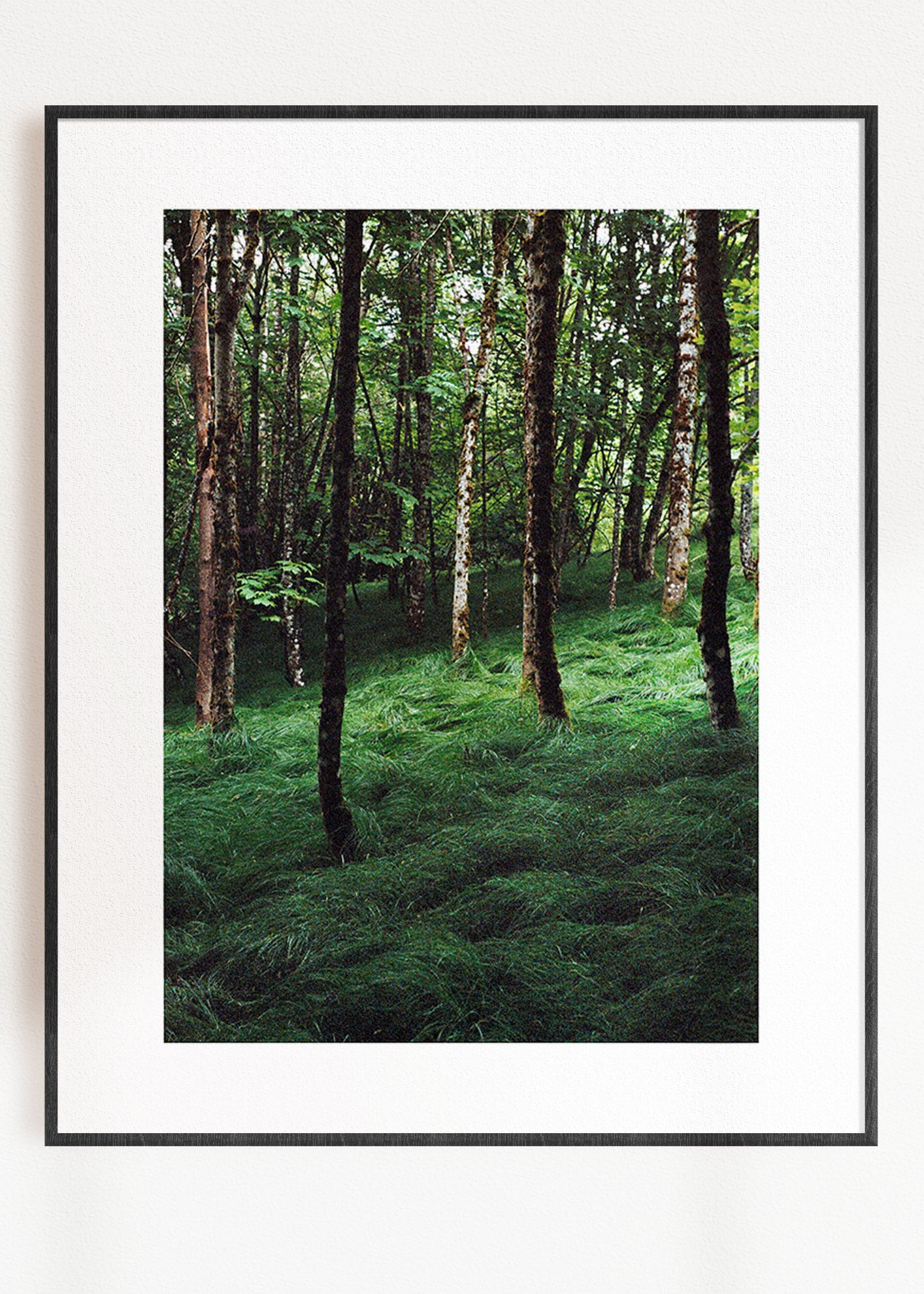 Gerahmter Kunstdruck "Verwunschener Wald 1"
