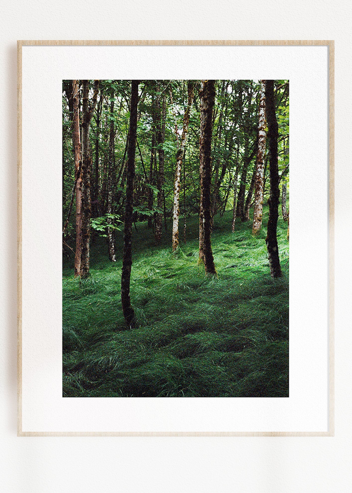 Gerahmter Kunstdruck "Verwunschener Wald 1"