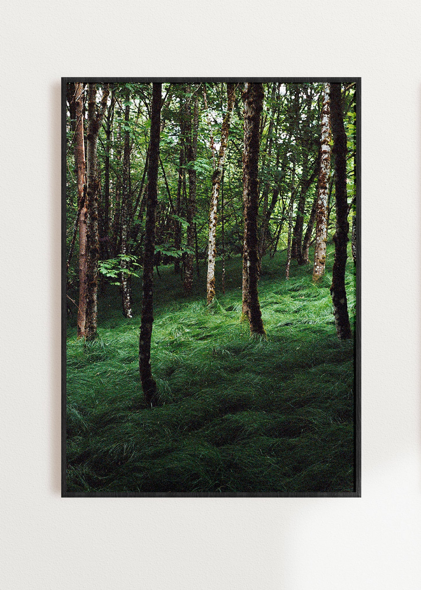 Gerahmter Kunstdruck "Verwunschener Wald 1"