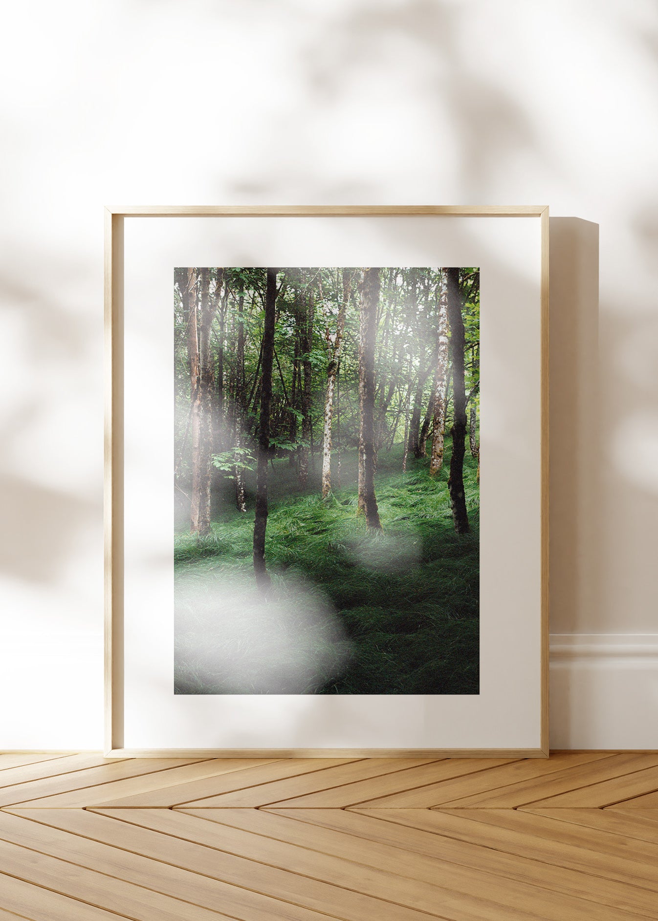 Gerahmter Kunstdruck "Verwunschener Wald 1"