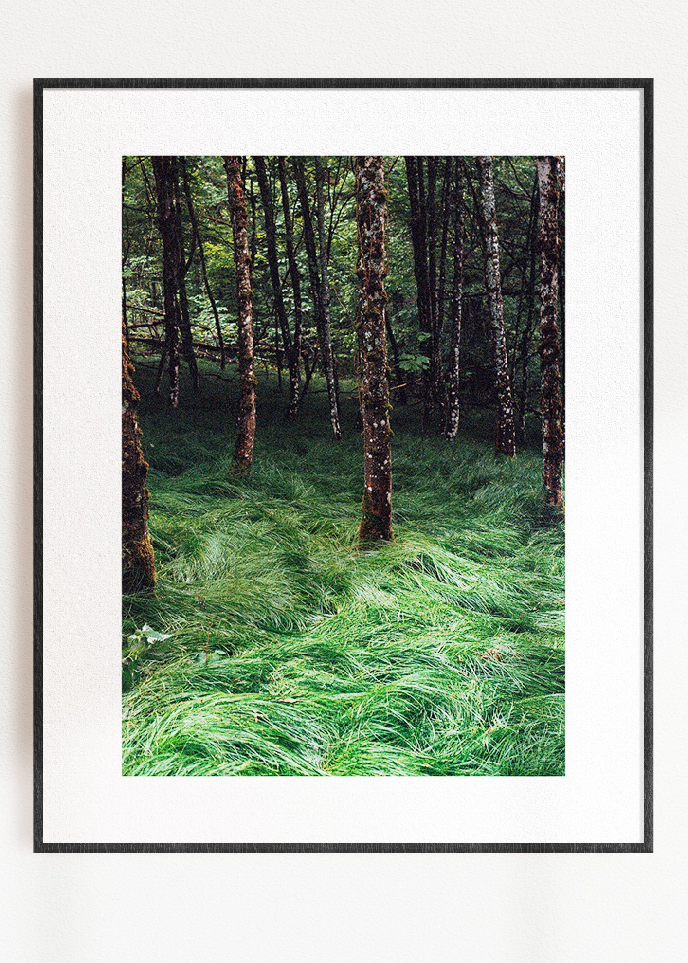 Gerahmter Kunstdruck "Verwunschener Wald 2"