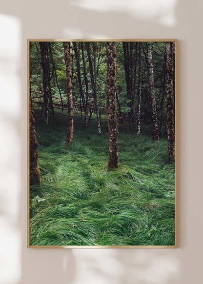 Gerahmter Kunstdruck "Verwunschener Wald 2"