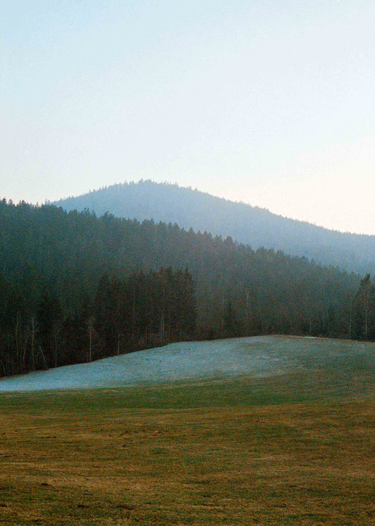 Gerahmter Kunstdruck "Wald, Linien"