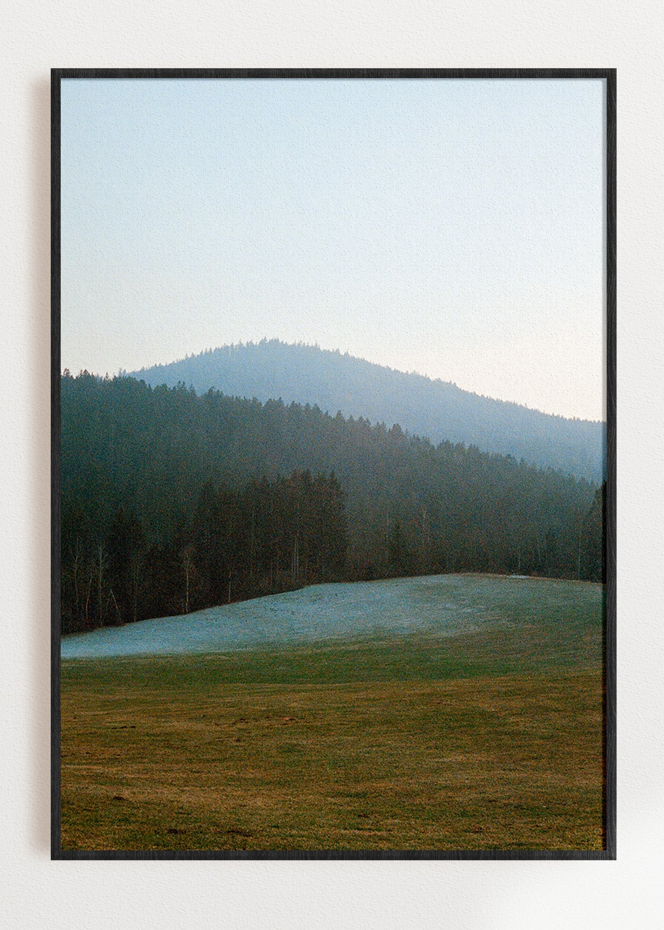Gerahmter Kunstdruck "Wald, Linien"