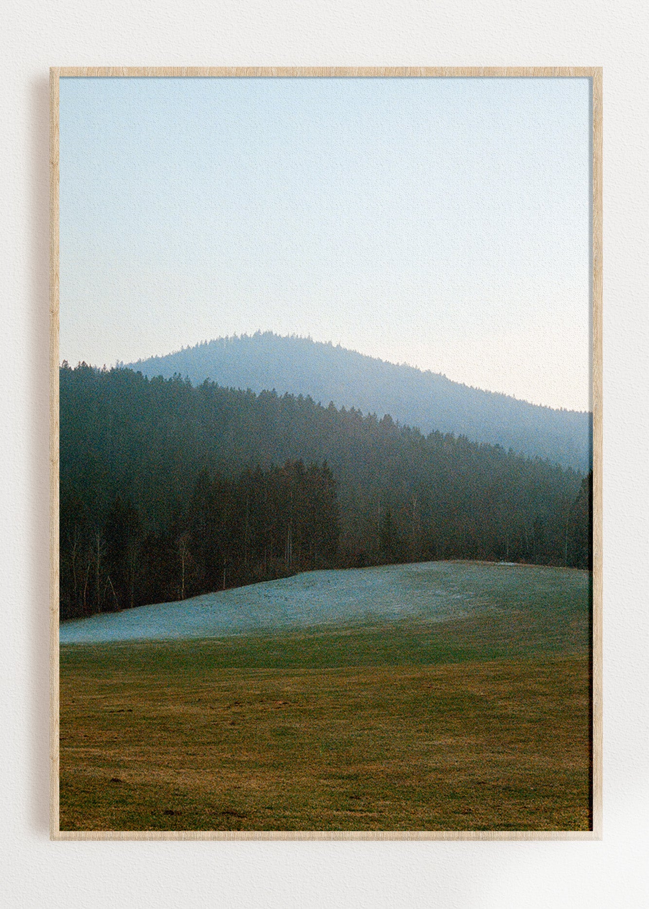 Gerahmter Kunstdruck "Wald, Linien"