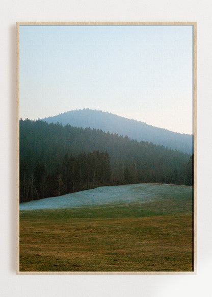 Gerahmter Kunstdruck "Wald, Linien"