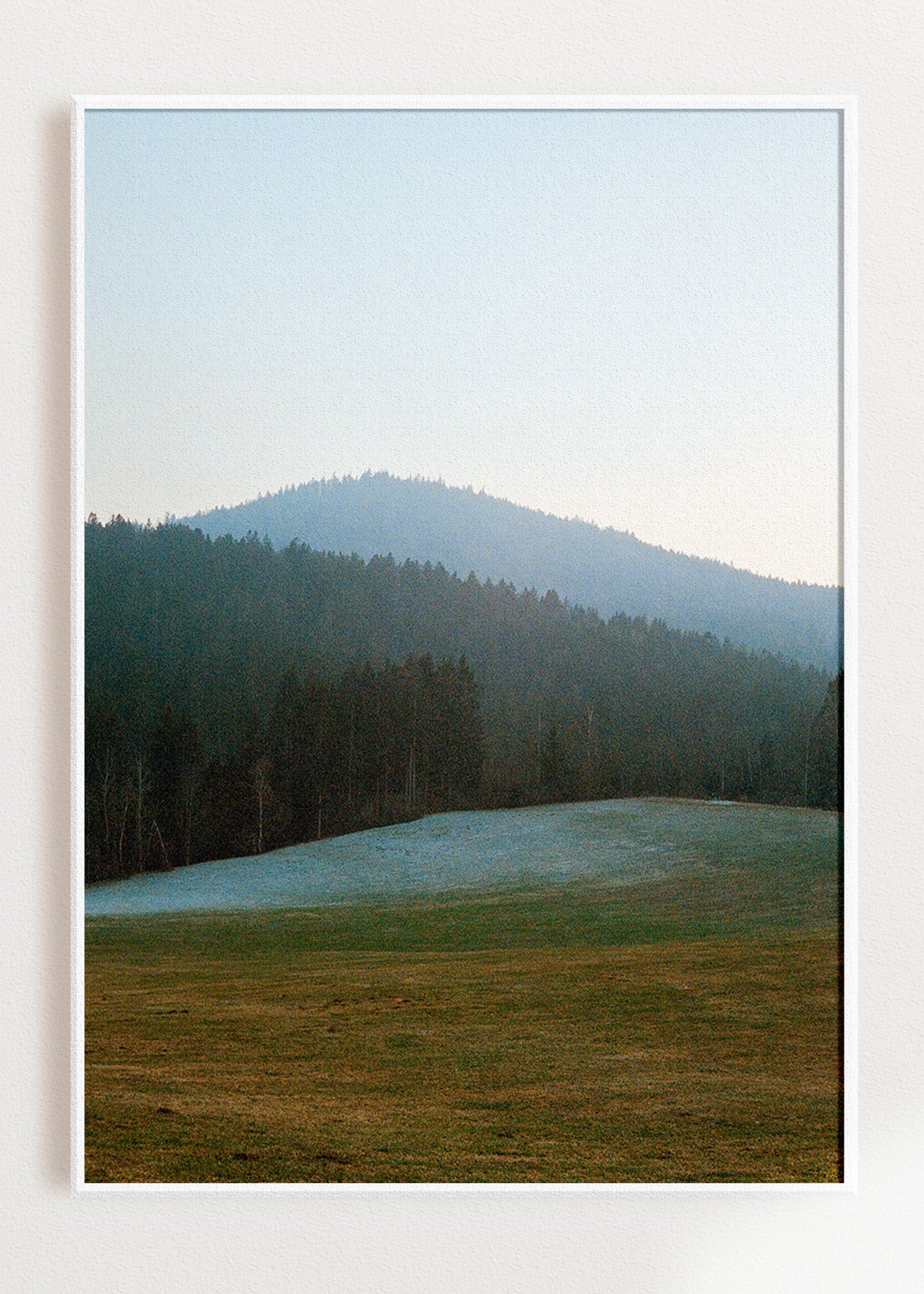 Gerahmter Kunstdruck "Wald, Linien"