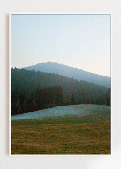 Gerahmter Kunstdruck "Wald, Linien"