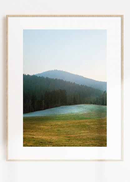 Gerahmter Kunstdruck "Wald, Linien"