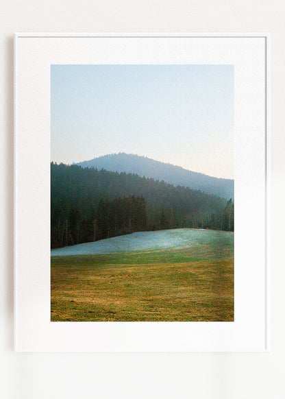 Gerahmter Kunstdruck "Wald, Linien"