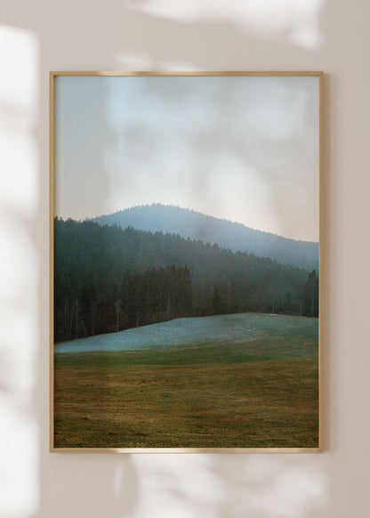 Gerahmter Kunstdruck "Wald, Linien"